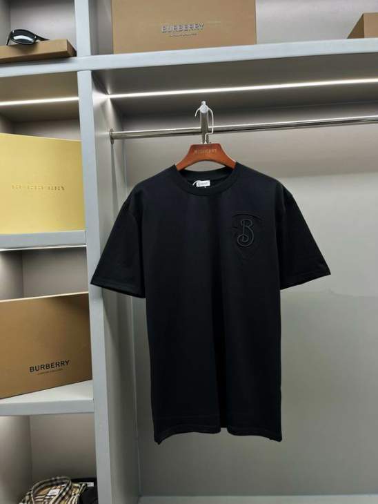 Picture of Burberry T Shirts Short _SKUBurberryS-2XLaztx963119883